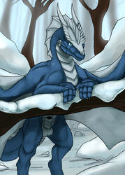 2014 balls blue_eyes claws dragon forest horn log male_only penis rumiir scalie sheath snow syrinoth tree wings wood