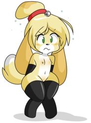 animal_crossing anthro blush canine dog female female_only flat_chested fur furry green_eyes isabelle_(animal_crossing) mammal nintendo robbonp solo straight_hair video_games