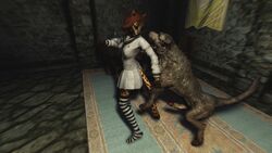 3d canine discombobulation feline khajiit skyrim socks the_elder_scrolls video_games