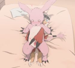 2025 bandai_namco bed belt black_belt blue_eyes blush digimon digimon_(species) duo embarrassed feathers female fur furniture gazimon genitals happy hawkmon inside looking_at_self lying lying_on_bed male male/female on_bed open_mouth pillow pink_body pink_fur ptkd pussy red_feather spread_pussy spread_vulva spreading tail vulva white_body white_feathers white_fur