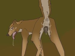 alpha_and_omega anatomically_correct anatomically_correct_genitalia animal_genitalia anus ass bodily_fluids canid canine canine_genitalia canis cum cum_in_ass cum_in_mouth cum_in_pussy cum_inside female feral genital_fluids genitals hi_res kate_(alpha_and_omega) looking_at_viewer mammal presenting presenting_hindquarters puffy_anus pussy ravenfangs solo wolf