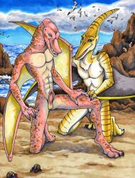 1boy 1boy1girl 1girls anthro avian ayame_emaya beach bird claws crab day daytime dinosaur duo erect_penis erection female flat_chest flat_chested furry hermit_crab male nipples outdoors outside penis pterosaur pussy reptile scalie seagull seaside testicles vagina water wings