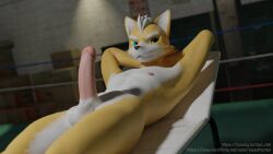 anthro balls blender_(software) blender_cycles canid canine erection fox fox_mccloud genitals hi_res male mammal nintendo penis pinup pose ring solo star_fox sweet_hunter warfare_fox