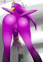 anthro anus ass avian bandana beak bent_over bird blue_eyes clothing eyewear female female_focus furry glasses gloves jet_the_hawk looking_back nude presenting presenting_anus presenting_hindquarters presenting_pussy pussy sega shocked slypon solo_focus sonic_(series) sonic_riders swallow wave_the_swallow