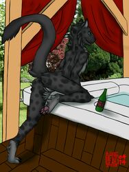 alcohol anthro beer beverage chakat-silverpaws claws cuntboy feline fur furry garden hot_tub intersex mammal paws presenting pussy solo spreading tetton water