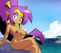 shantae (character) from shantae by gorllus