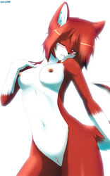 2012 anthro areola black_nose blush breasts canine erect_nipples female hair looking_at_viewer mammal navel nipples nude one_eye_closed plain_background pussy red_eyes red_hair redwolfxiii solo uncensored white_background wink xennie