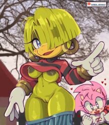 amy rose from fleetway comics by pepamintop