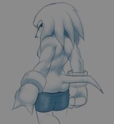 1boy ass knuckles_the_echidna male muscular nude pants_down sonic_(series) tagme tkraccoon