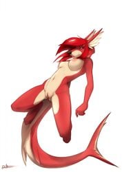 anthro breasts canine female fish hybrid lost-paw mammal marine nude pussy shark solo