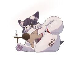 alpha_channel ambiguous_gender animal_humanoid anus ass blush bottle brown_eyes canid canid_humanoid canine canine_humanoid container dipstick_ears disembodied_hand ear_markings female female/ambiguous fox fox_humanoid fox_spirit fur furniture genitals hair hi_res humanoid mammal mammal_humanoid multicolored_body multicolored_ears multicolored_fur pawpads smaller_version_at_source solo table tail tongue tongue_out two_tone_body two_tone_fur vulva wontonpup