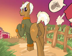 anus balls bottomless brown_fur cutie_mark eyewear facial_hair friendship_is_magic from_behind fur glasses hair looking_back male male_only my_little_pony outside penis purple_eyes sunset sweater trenderhoof_(mlp) white_hair wingbonermaker