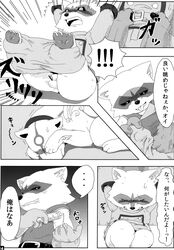 black_and_white blush bound bulge canine chibiterasu comic dialog flaccid furry furry_only gay male male_only mammal marvel monochrome okami penis raccoon rocket_raccoon testicles text translation_request undressing wolf yaoi