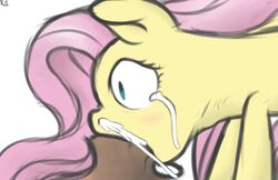 2014 animal_genitalia colored cum cum_in_mouth cum_inside cum_out_nose deep_throat deepthroat equine fellatio female feral fluttershy_(mlp) friendship_is_magic fur hair horsecock long_hair male mammal mostazathy my_little_pony oral oral_sex penis pink_hair plain_background runnerman360 sex straight tears tongue white_background yellow_fur