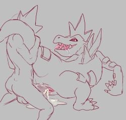 feraligatr from nintendo by ungulatr