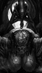 female yautja from alien (franchise) by lewdpencil
