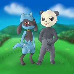 2014 anthro balls blush chibi fur hair leaf looking_at_viewer male male_only mammal nintendo nude outside pancham penis pokemon riolu smile tongue video_games zekromlover