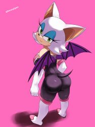 rouge the bat from sega by soranygy