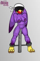 wave the swallow from sega