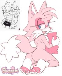 fan character from sega by senshion