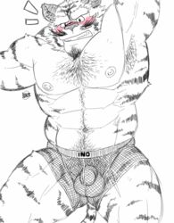 1boy abs anthro armpits balls beard big_muscles blush body_hair chest_tuft facial_hair fb1907 feline fishnet flaccid fur furry goatee hairy happy_trail male male_only mammal muscles pecs penis pubes solo tiger topless tuft underwear