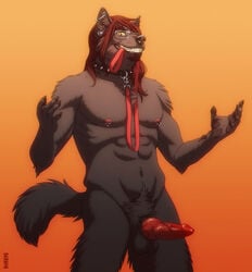 1boy animal_genitalia anthro balls black_fur canine canine_penis collar ear_piercing erection eyewear fangs fur furry glasses hair kannos knot leash male male_only mammal nipple_piercing nipples nude penis piercing pubes red_hair solo vein veiny_penis wolf