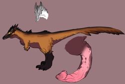 austroraptor black_claws brown_feathers claws daunte dinosaur dromaeosaur feathers feral juba male penis scalie teeth wingarms