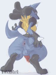 animal_genitalia anus ass balls canine_penis cum erection knot lucario male male_only nintendo penis plain_background pokemon pokemon_(species) presenting presenting_hindquarters solo spreading tenaflux video_games