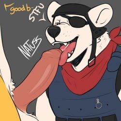 1:1 anthro armor bear big_penis bodily_fluids clothed clothed_sex clothing cum cum_in_mouth cum_inside duo english_text epic_games erection eye_patch eyewear fennix_(fortnite) foreskin fortnite genital_fluids genitals good_boy hi_res licking male male/male mammal natuss oral penile penis penis_lick penis_on_tongue polar_bear polar_patroller sex solo_focus stfu text tongue tongue_out ursine