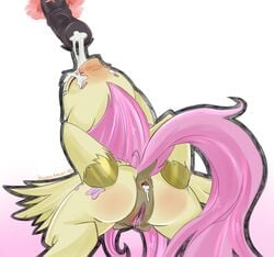 anus blush cum cum_in_ass cum_in_mouth cum_inside cutie_mark equine erection fellatio female feral fluttershy_(mlp) friendship_is_magic fur hair horse jailbait_knight long_hair male mammal my_little_pony oral oral_sex pegasus penis pink_hair pony pussy sex straight wings yellow_fur