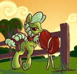 anus back_turned bedroom_eyes bonnet braid clitoris cutie_mark equine female fence friendship_is_magic fur granny_smith_(mlp) granny_smith_(young) green_fur hair hasbro hooves horse long_hair looking_at_viewer looking_back mammal mlp_g5 mouth_hold my_little_pony orange_eyes outside pony presenting pussy raised_tail smile solo superkeen tree uncensored underhoof white_hair younger