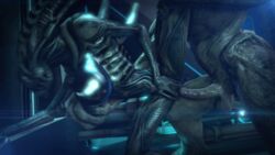 1boy 1boy1girl 1girls 2014 3d alien alien_(franchise) alien_only animated anthro balls breasts crossover dragon-v0942 female female_xenomorph femsub halo_(series) loop lowres male male_sangheili_(halo) maledom nude penetration sangheili scalie sex source_filmmaker straight teeth vaginal_penetration xenomorph