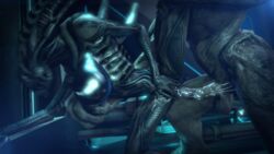 1boy 1boy1girl 1girls 2014 3d alien alien_(franchise) alien_only animated anthro balls breasts crossover cum cum_in_pussy cum_inside dragon-v0942 female female_xenomorph femsub halo_(series) loop lowres male male_sangheili_(halo) maledom nude penetration sangheili scalie sex source_filmmaker straight teeth vaginal_penetration xenomorph