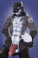 1boy 2014 abs animal_genitalia anthro balls canine clothing collar fleki hoodie knot male male_only mammal muscles open_clothes open_shirt pants penis shirt solo spiked_collar wolf