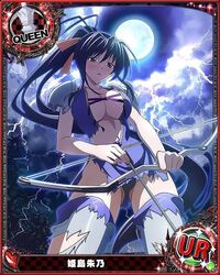 akeno himejima from high school dxd by animius