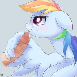 2014 blue_fur cum cum_on_face disembodied_penis equine eyelashes female feral friendship_is_magic fur hair kinkypinkie male mammal multicolored_hair my_little_pony pegasus penis purple_eyes rainbow_dash_(mlp) rainbow_hair straight vein wingjob wings