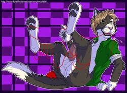 aroused balls erection feline male male_only mammal mrchocolate original_character penis solo yarn