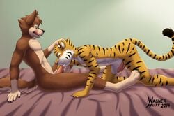 2014 abs anthro bed biceps canine closed_eyes cum cum_in_mouth cum_inside feline fellatio furry furry_only gay green_eyes head_grab male mammal muscles nathan oral oral_sex penis sex tiger wagnermutt