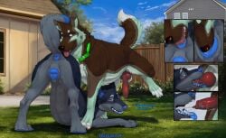 anal anatomically_correct anatomically_correct_genitalia anatomically_correct_penis anatomically_correct_vulva animal_genitalia animal_vulva anus ass_up blue_anus blue_nipples blue_nose blue_pawpads blue_vulva bodily_fluids brown_body brown_fur butt butt_sniffing canid canine canine_genitalia canine_vulva canis collar cum cum_in_mouth cum_inside cumshot cunnilingus dialogue domestic_dog duo ejaculation erection fellatio female female_penetrated feral feral_on_feral feral_penetrated feral_penetrating feral_penetrating_feral fur genital_fluids genitals german_shepherd grass herding_dog hi_res male male/female male_penetrating male_penetrating_female mammal nipples on_grass on_ground oral outside pastoral_dog pawpads penetration penile penis plant presenting presenting_hindquarters rimming rodi seductive sex sniffing talking_feral vaginal vulva yard