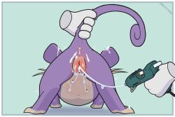 absurd_res anus clitoris disembodied_hand duo female feral fuzzo generation_1_pokemon genital_torture genitals glue_on_anus glue_on_genitals glue_on_nipples glue_on_skin glue_on_vulva hi_res hot_glue_gun nintendo nipples nude pokemon pokemon_(species) pokemon_only pregnant pregnant_female pregnant_feral pussy_torture rattata reddened_pussy tail tail_grab vulva whiskers