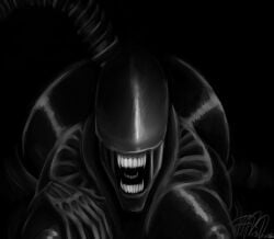6_fingers alien alien_(franchise) barely_visible_nipples big_breasts big_butt black_body breasts butt eyeless female fingers glistening glistening_body hi_res huge_butt humanoid joebamna monochrome nipples partially_submerged solo tail teeth wide_hips xenomorph