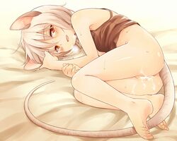 nazrin from touhou