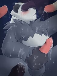 2014 anthro balls bear blush bukkake cum cum_on_face cum_on_penis erection gay mabit male male_only mammal masturbation multiple_males nintendo panda panda_bear pangoro penis pokemon solo_focus video_games