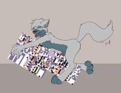 1boy anal anthro canine eyewear fur furry furry_only fuzzywuff glasses knot male male_only mammal missingno. nintendo oddwarg penis pokemon pokemon_(species) pokemorph poochyena public_domain simple_background tongue tongue_out video_games what wolf