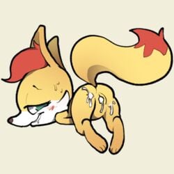 fennekin from nintendo by itsunknownanon