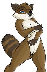 4_fingers anthro black_nose blue_eyes breasts brown_fur color dreamworks female female_only front_view fur furry furry_breasts furry_ears furry_only furry_tail looking_at_viewer open_eyes over_the_hedge paramount_pictures pointy_ears pussy raccoon rj_(over_the_hedge) rule_63 solo standing tail uncensored vulva white_background white_fur winstar