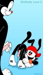 2boys animaniacs anthro anus ass_up backwards_baseball_cap brother/brother brothers eager furry gay hat headwear incest male male_only no_humans presenting presenting_anus presenting_hindquarters red_hat siblings stefanescu tongue_out wakko_warner yakko_warner yaoi