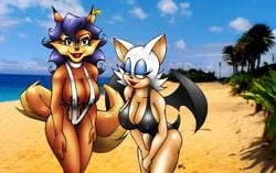 2girls anthro areola areola_slip areolae bat bat_wings beach big_breasts black_swimsuit blue_hair breasts canine carmelita_fox catsprin cleavage color crossover female female_only fox fox_tail fur furry lipstick looking_at_viewer mammal multiple_females nipple_bulge one-piece_swimsuit pokies rouge_the_bat sega sling_bikini sly_cooper_(series) smooth_fur sonic_(series) sonic_the_hedgehog_(series) sucker_punch_productions swimsuit tail white_swimsuit wings