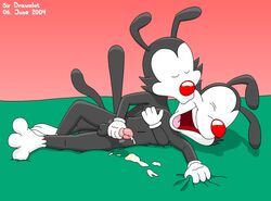 2004 2boys animaniacs furry handjob incest male male_only no_humans sir_drawalot wakko_warner yakko_warner