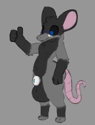 animal_genitalia anthro balls black_body black_fur black_sclera blue_eyes fur genitals grey_background grey_body grey_fur hi_res male mammal murid murine paws pink_tail rat rat_tail rodent round_ears sarek_aran_desian sheath simple_background tail